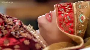 Thumbnail of Seal S6 Episode 1 Web Series